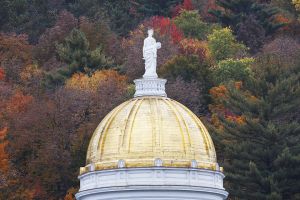 Capitol Dome in the Fall